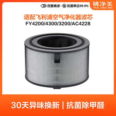 适配飞利浦空气净化器滤网FY4200/4300/3200适用于AC4228滤芯