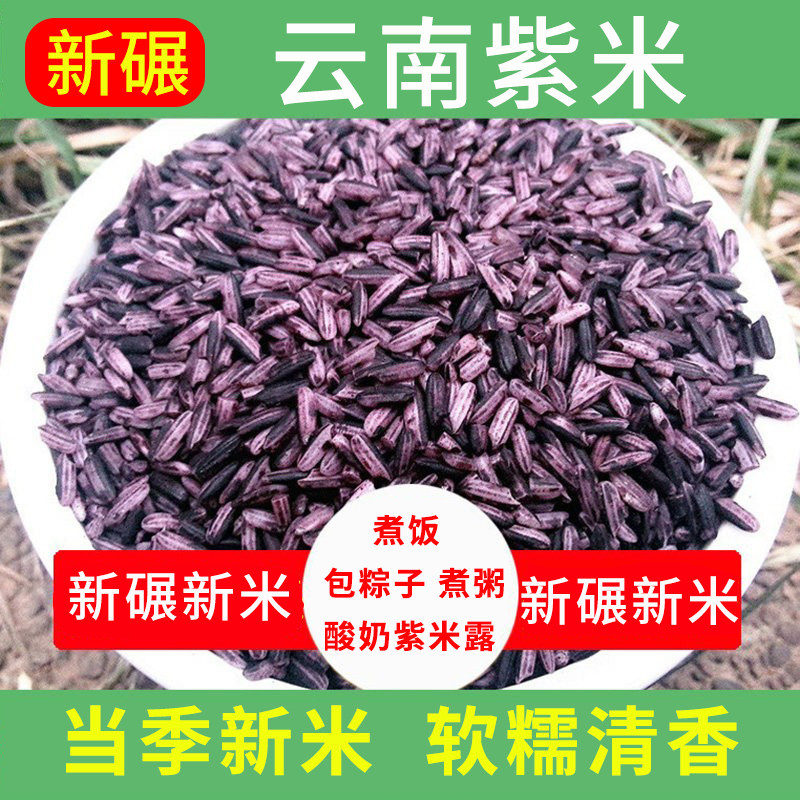 云南紫米紫糯米农家黑米糯米黑糯米紫糯米血糯米散装称量五谷杂粮