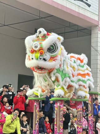 醒狮 南狮 刘备狮 佛装狮 舞龙舞狮 舞狮头高桩狮 广东醒狮 龙狮