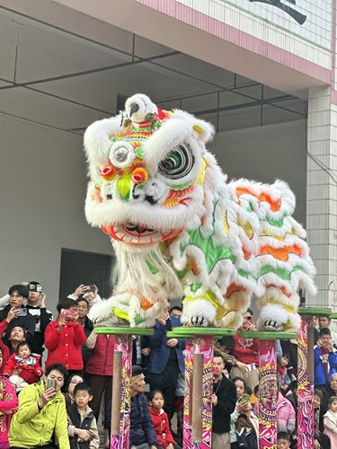 醒狮舞狮南狮行优惠狼毛狮