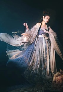 原创正品汉服女关山月唐制刺绣诃子裙飘逸大袖衫唯美中国风套装