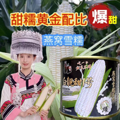 白靓甜1号糯玉米种子高产高品质甜糯玉米种春夏秋播燕窝雪糯玉米