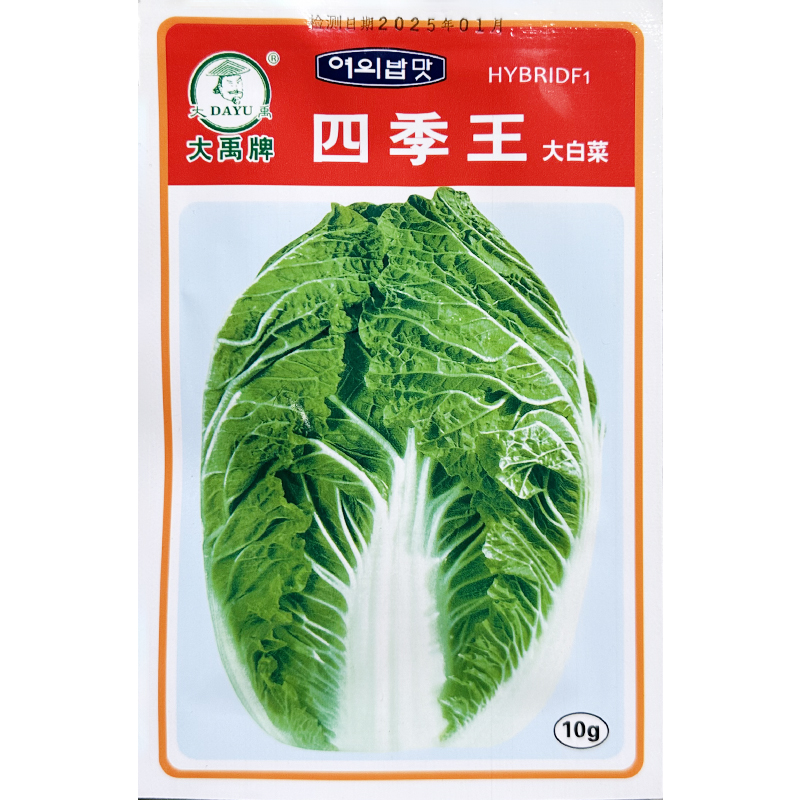 中科四季王炮弹型生长速度快白菜