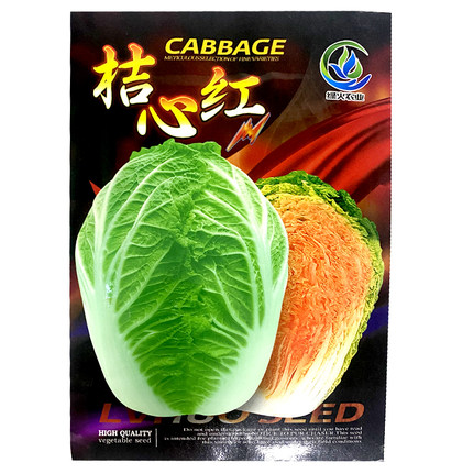 橘红心大白菜种孑春秋季桔色芯火凤凰籽特色观赏农家菜籽蔬菜种子