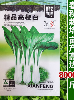 长梗白菜种子壶瓶长梗白种籽花叶高梗白高杆箭杆小白菜青菜蔬菜孑