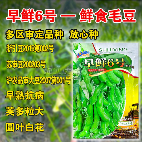 特早熟毛豆种子早鲜毛豆种籽50天成熟高产鲜食青豆黄豆毛豆种子籽