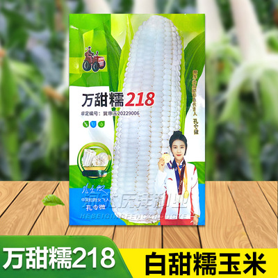 甜糯玉米种子白糯特大高产万甜糯玉米种籽孑香糯黏大全高产量种籽