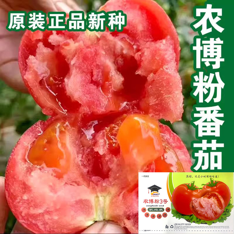 只在乎口感的古老西红柿品种 四季粉果 高产优质汁多水果番茄种子,鲜花速递/花卉仿真/绿植园艺,家庭园艺种子,淘宝优惠券,粉丝福利购,淘宝优惠卷