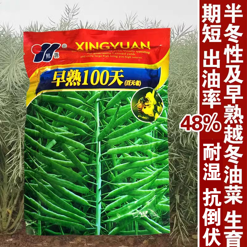 早熟四季油菜籽榨油矮杆油菜花种孑耐寒南方北方秋冬易活蔬菜种子