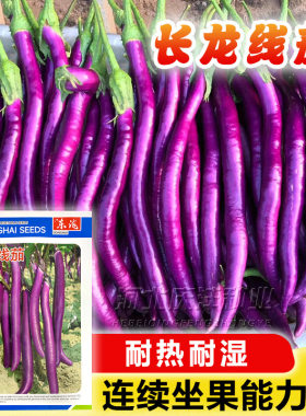 紫红长茄种子高产圆长线绿圆茄子籽紫杭茄种子早熟高产春季播蔬菜