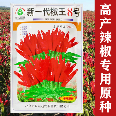 新一代朝天椒种子辣椒籽
