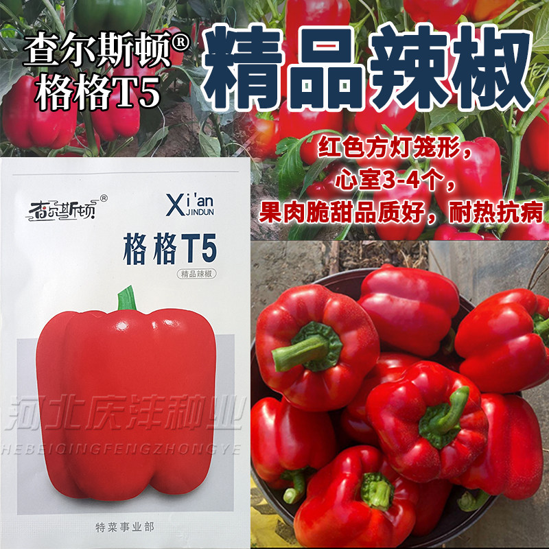 红甜椒种子大果灯笼椒种子红色菜椒精品辣椒籽脆甜黄甜椒种子