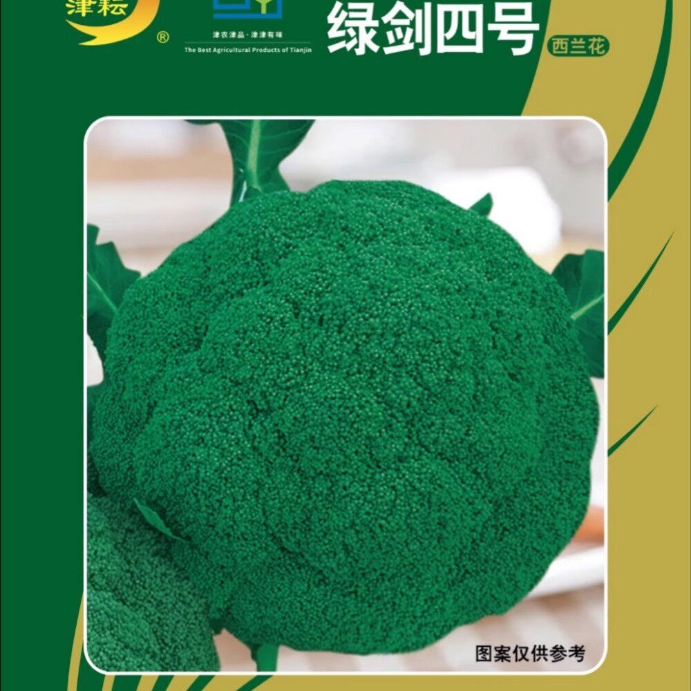 绿剑四号西兰花种子基地专用春季秋季西蓝花种籽青花菜西兰花种籽