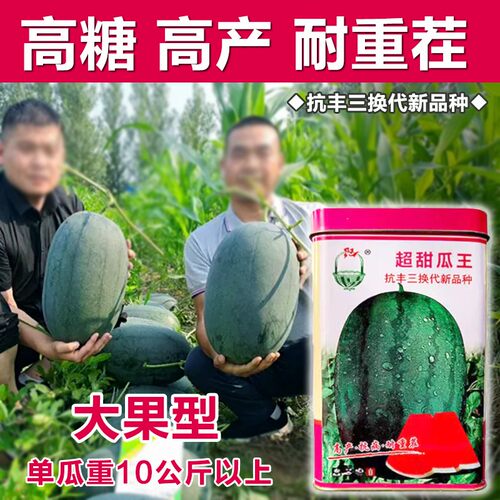 超大甜王西瓜种子高糖度