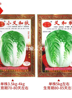 小义和秋大白菜种子蔬菜籽小菜籽冬秋种孑北方秋季冬储胶州大白菜