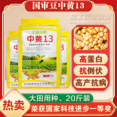 大豆种子中黄13黄豆种子高产黄豆种籽大粒抗病国产大豆种大田用种