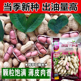 山东高产薄壳小白沙花生种子种籽黑带壳红皮花生米孑子小粒新品种