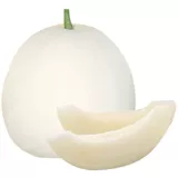 Сладкая 15 сладость 18 Семена белых сладких дыни весны Большой фрукты с высоким содержанием сахара Супер сладкий ранний приготовленный рано приготовленные болезни высокие виды огурцов