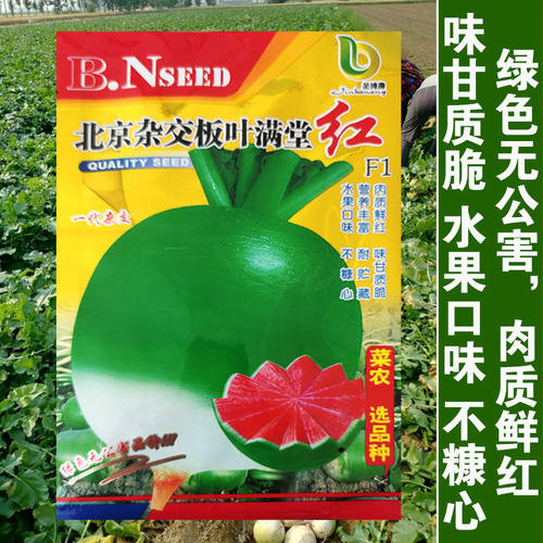 北京杂交种子高产水果红萝卜