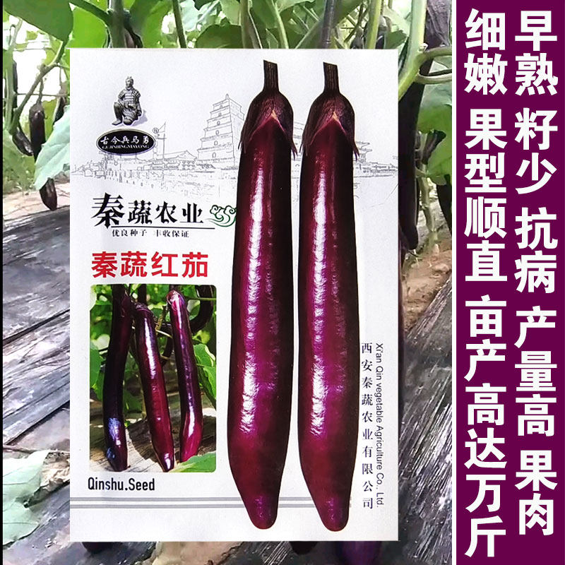 秦蔬长红茄蔬菜种子春秋季露地大棚紫红长茄子菜籽种抗病早熟高产,鲜花速递/花卉仿真/绿植园艺,家庭园艺种子,淘宝优惠券,粉丝福利购,淘宝优惠卷