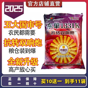 富友东单1331K升级玉米种子高产玉米优质粒大苗壮 抗转双响炮
