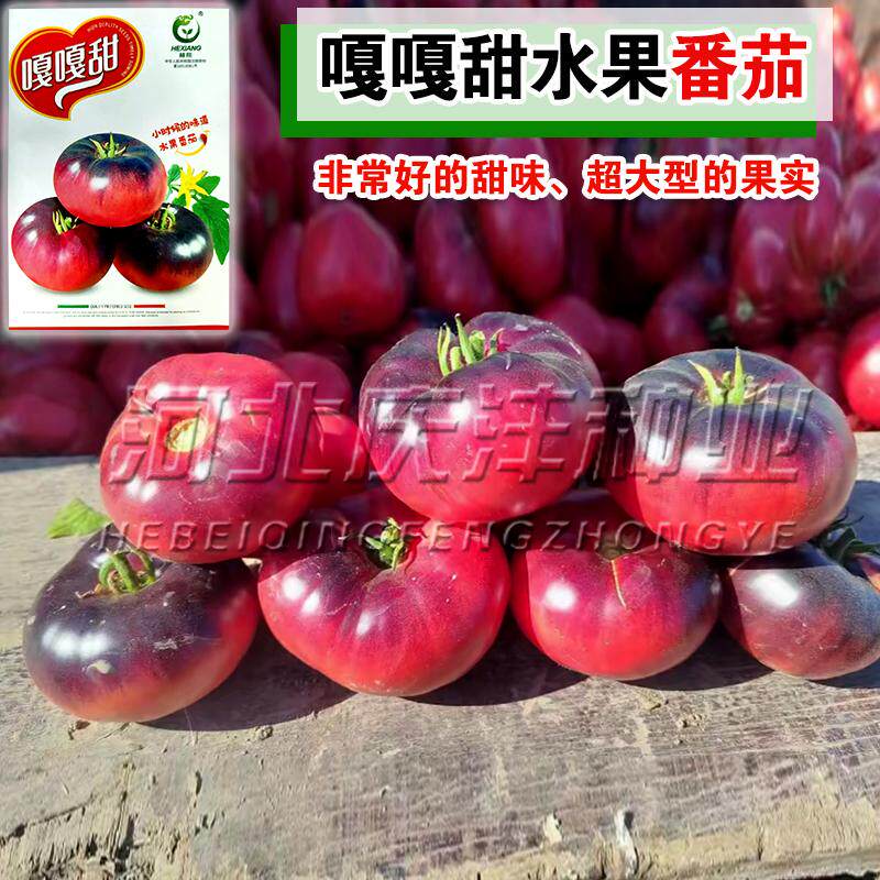 传家宝嘎嘎甜水果番茄种子好吃黑番茄超甜圣女果大果型蔬菜种孑籽
