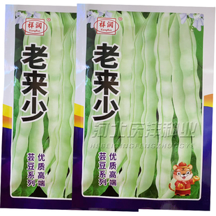 老来少豆角种子九粒白芸豆种籽大全四季菜豆蔬菜种孑农家春秋季