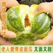 老品种面瓜种籽黄皮黑皮花皮面瓜种子超甜露地生吃甜瓜种籽四季 播
