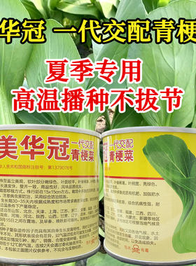上海青四季蔬菜一代耐热耐湿