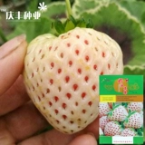 Кремовые семена клубники, бесплатная доставка на четыре сезона, посев семян цветов, комнатный взрывной горшок, съедобные кремовые семена клубники