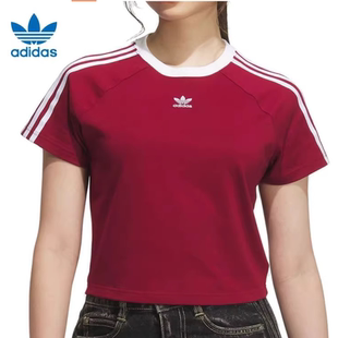 Adidas三叶草短袖女子25酒红色经典三条纹短款高腰圆领T恤 KF0314