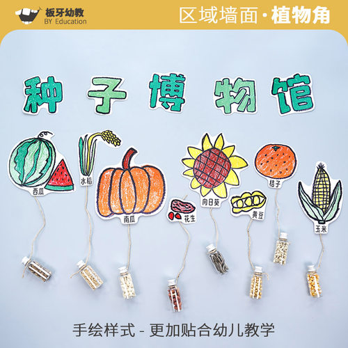 幼儿园植物角种子博物馆