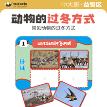 幼儿园中大班益智区动物过冬方式 主题区域材料自制教具科学区早教