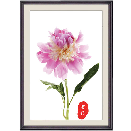 精品新款芍药十字绣套件客厅适用