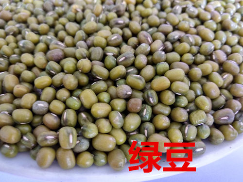 笨绿豆煮粥发豆芽绿豆糕250G