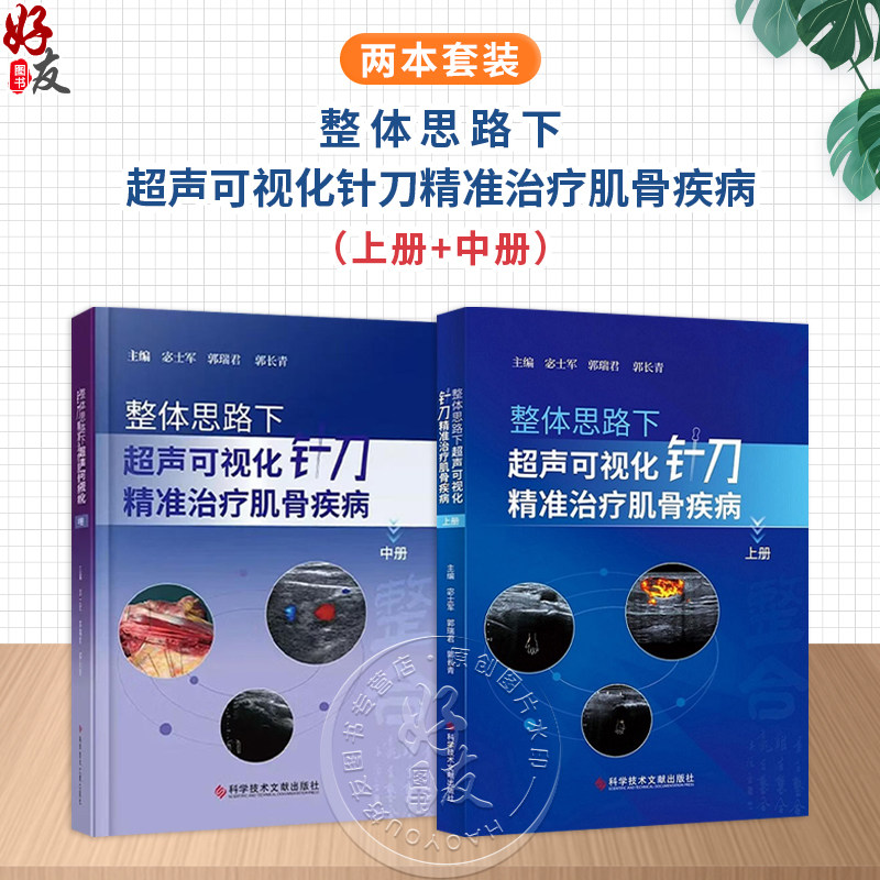 【全2册】整体思路下超声可视化针刀精准治疗肌骨疾病(上册+中册)2本套装 宓士军 郭瑞君 郭长青 超声学书籍 科学技术文献出版社