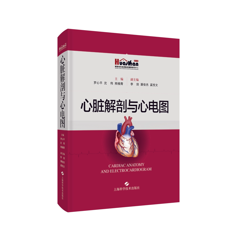 心脏解剖血管图像病变部位