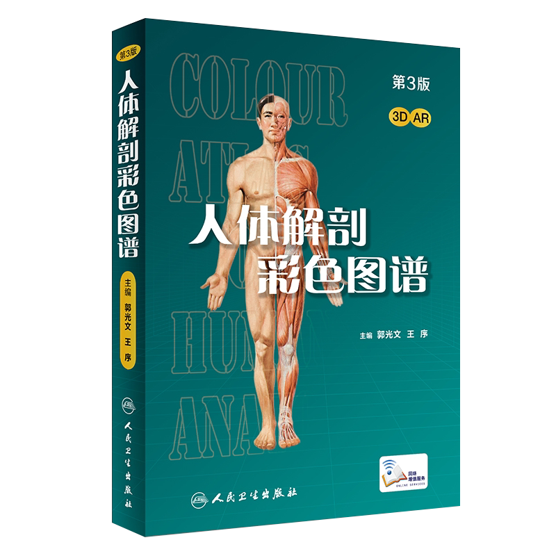 人体解剖彩色图谱第三3版奈特图