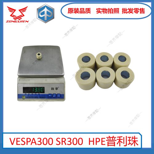 比亚乔VESPAGTS300HPE300普利珠