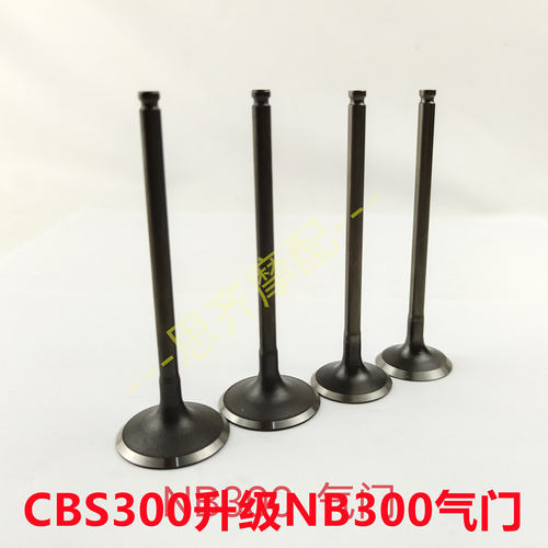宗申NB300气门油封恒建卒玛