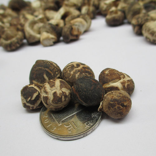 小香菇500g金钱菇小冬花菇干货农家特产一口菇蘑菇食用菌