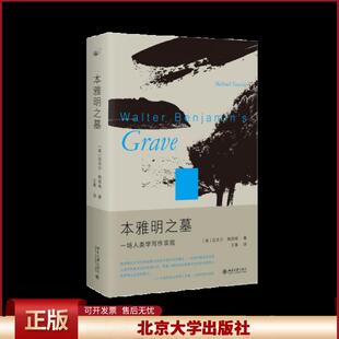 正版 本雅明之墓:一场人类学写作实验 迈克尔·陶西格带您聆听微妙之处,奇事不再遥远