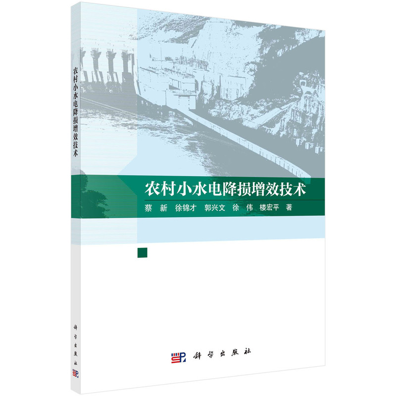 正版 农村小水电降损增效技术 蔡新，徐锦才，郭兴文，徐炜，楼宏平 科学出版社 9787030743091