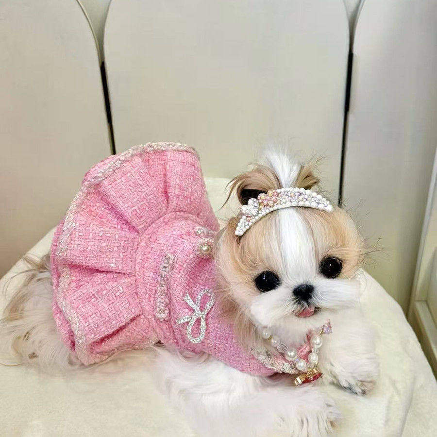 小香风狗狗猫咪衣服网红专用漂亮小裙子约克夏比熊春秋季裙子,宠物/宠物食品及用品,狗宠物服装/雨衣,淘宝优惠券,粉丝福利购,淘宝优惠卷