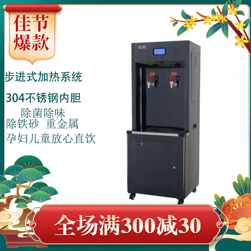 商用大容量净水器步进式开水机RO反渗透不锈钢智能直饮机过滤30L