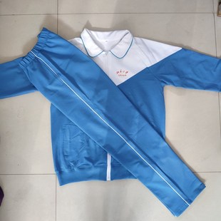 夏秋冬北京小学翡翠城分校浅蓝色白细杠裤子纯棉男女校服同款短袖