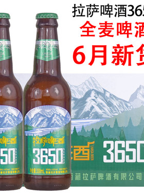 拉萨啤酒330ml8度全麦