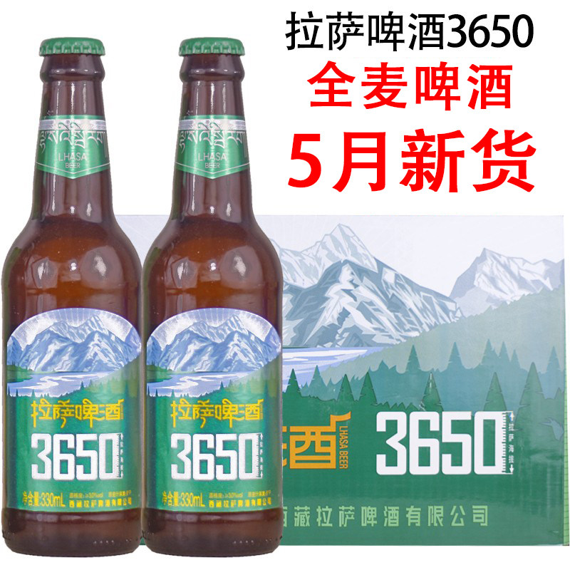 西藏拉萨啤酒3650 全麦啤酒 330ml*6/24瓶 整箱非青稞啤酒