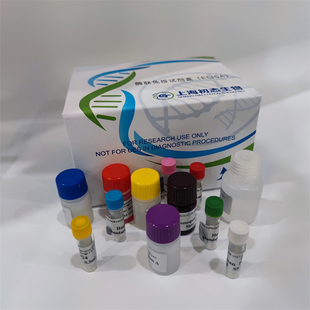 还原型烟酰胺腺嘌呤二核苷酸磷酸(NADPH)elisa试剂盒