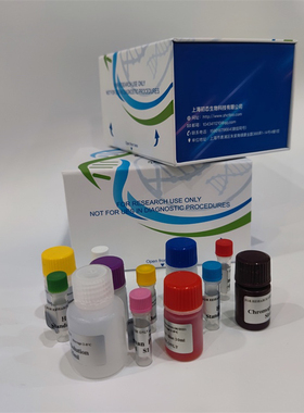 原钙黏素1(PCDH1)酶联免疫吸附测定试剂盒